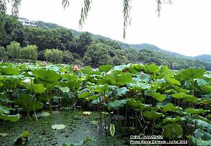 Alexia-Hangzhou 037